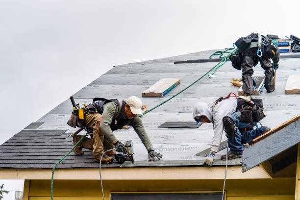 Professional Gutter Installation technician working in Dodgertown, CA